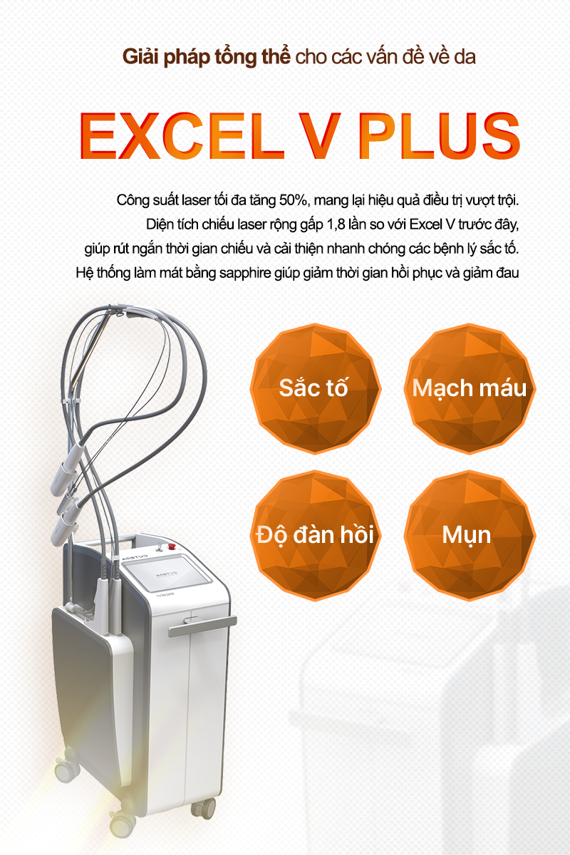 Excel V Plus - VandS Hongdae
