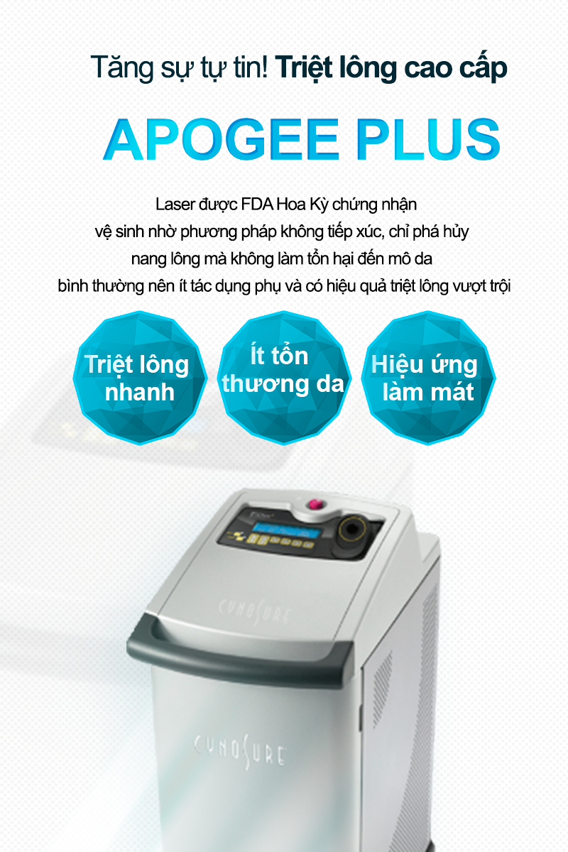 Apogee Plus - VandS Hongdae